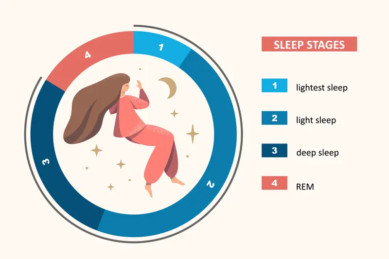 Learning Your Chronotype