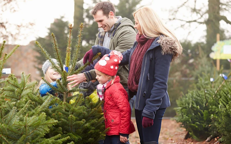 درخت کریسمس کوچک یا بزرگ