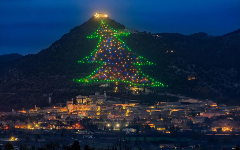 بزرگترین درخت‌های کریسمس