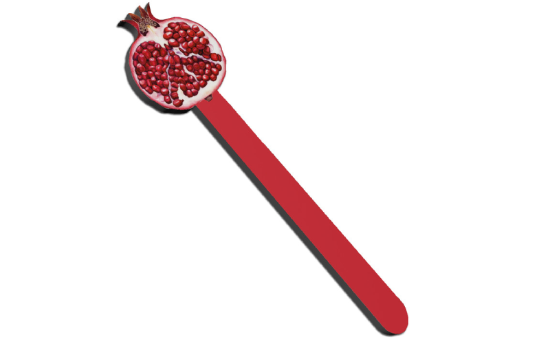 نشانگر کتاب اناری